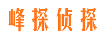 宜昌商务调查